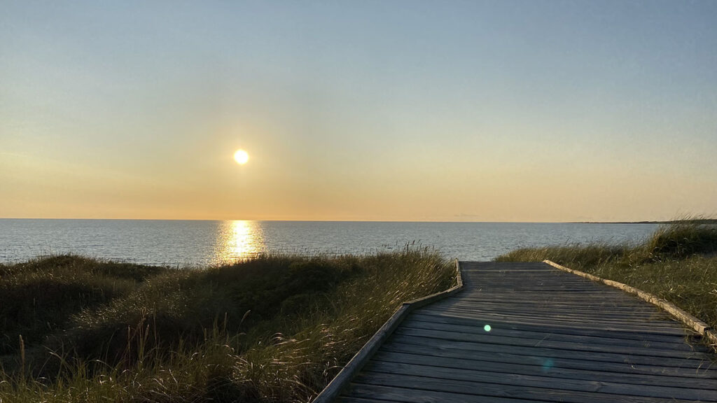 Havet vid strand i Halmstad SEO