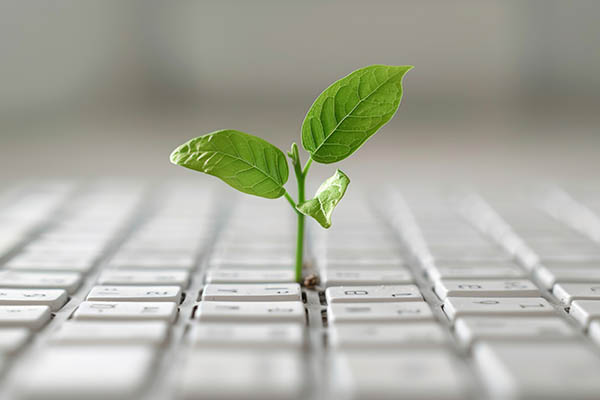 SEO - blad spirar ur tangentbord, symboliserar organisk tillväxt